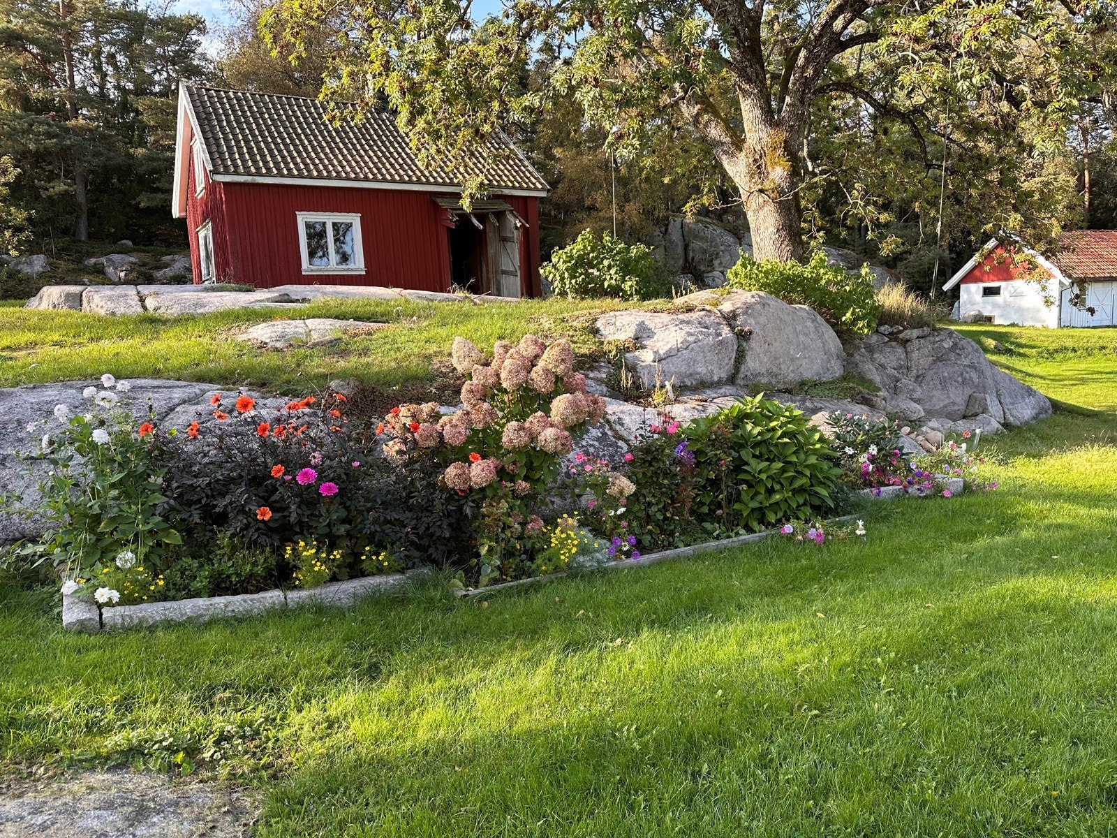 Rikelig med beplantninger og blomster Galleribilde