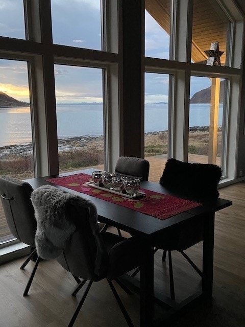 Utsikt ut fjorden. Galleribilde