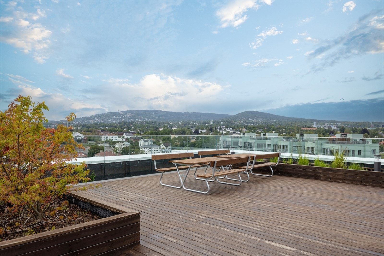 Felles takterasse Galleribilde