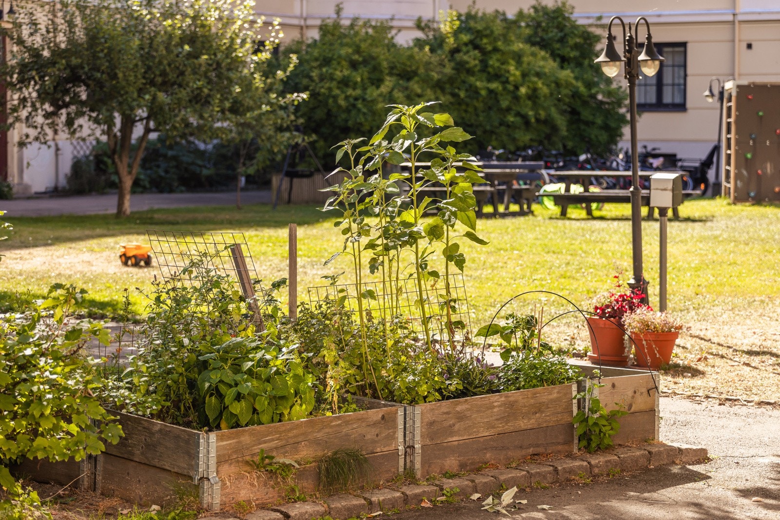I bakgården er det plantekasser for dyrkning av grønnsaker. Galleribilde
