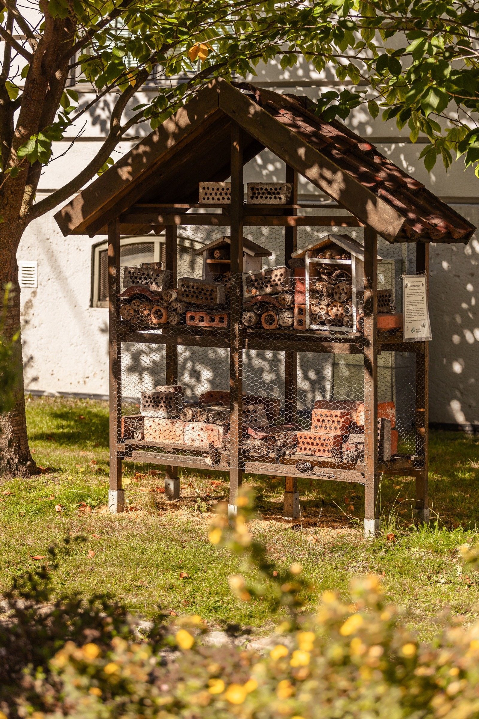 Det er også montert et bie-hotell. Galleribilde