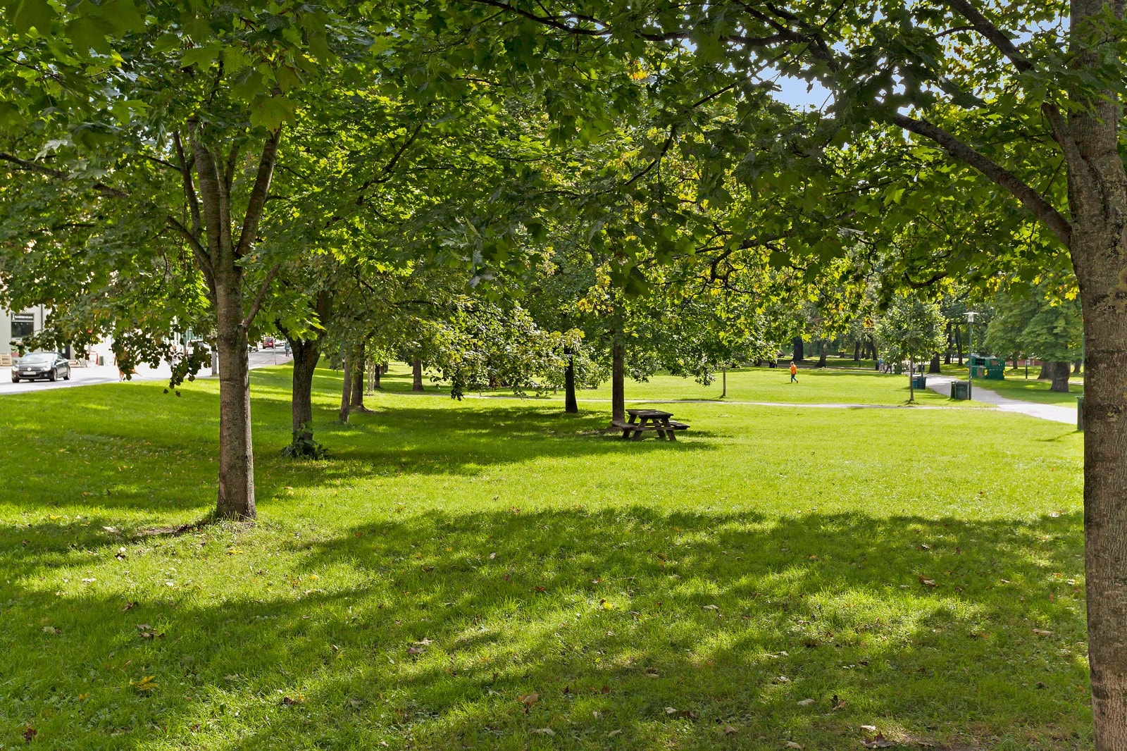 Sofienbergparken ligger kun 150 meter unna leiligheten. Galleribilde