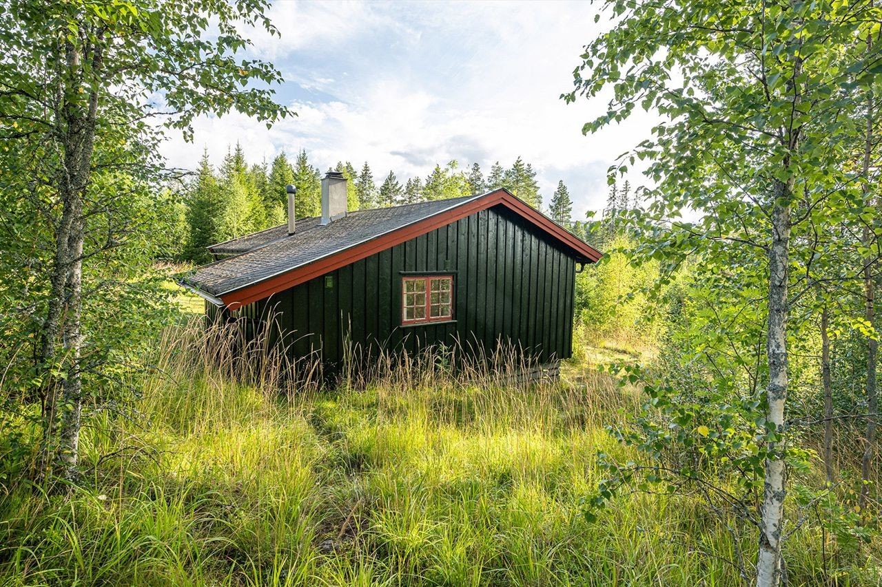 Tomten ligger i et relativt skrånende terreng, og er opparbeidet med plen, naturlig vegetasjon og busker. Galleribilde
