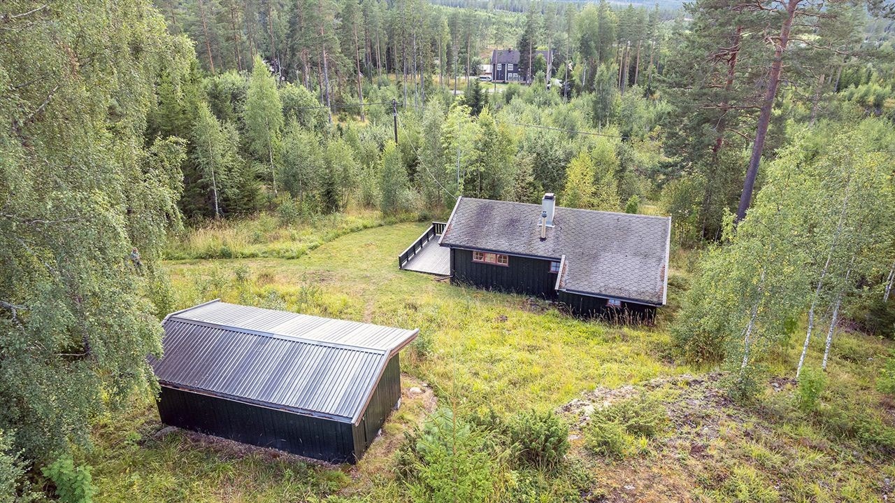 Kort vei til Budor, et populært utfartsområde med flotte skiløyper for vinterentusiaster. Galleribilde