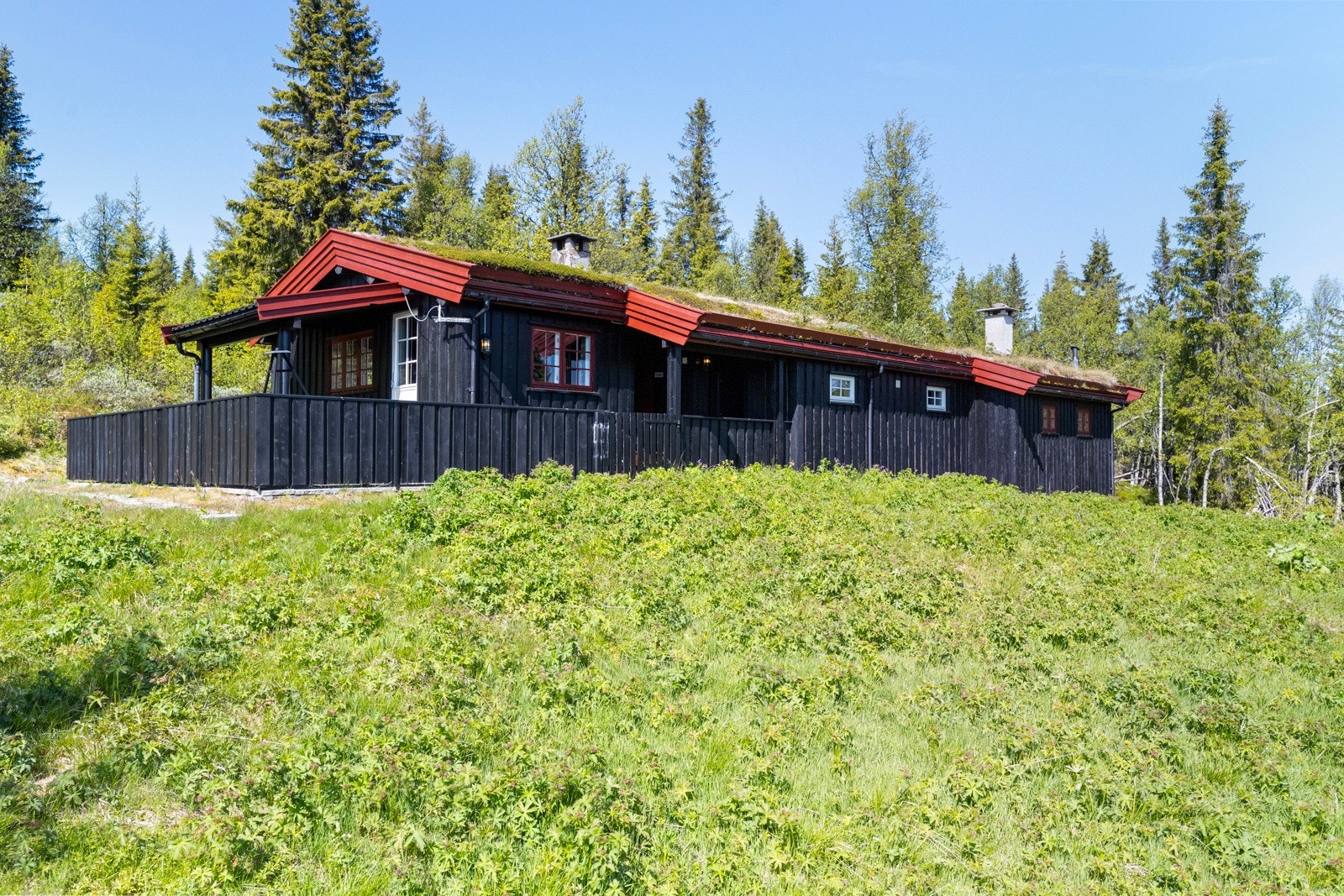 Skiløypene går like bortenfor hytta. Spåtind som er høyeste topp, ligger på 1414 moh., men det er også flere andre fine toppturer i Synnfjellet, som Svartkampen og Skjervungsfjellet Galleribilde