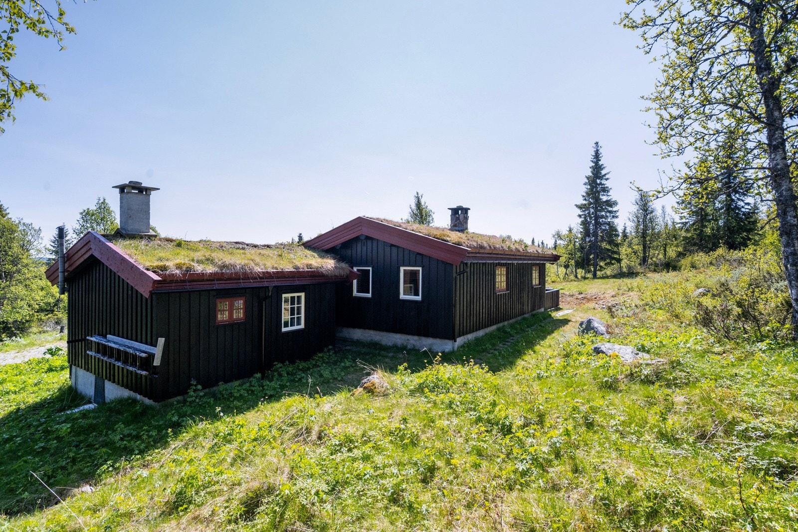 Området byr på fine turmuligheter både sommer og vinter. Vinterstid kjøres det opp skiløyper i området og det er et stort nettverk av løyper som strekker seg over det meste av fjellområdene. Galleribilde