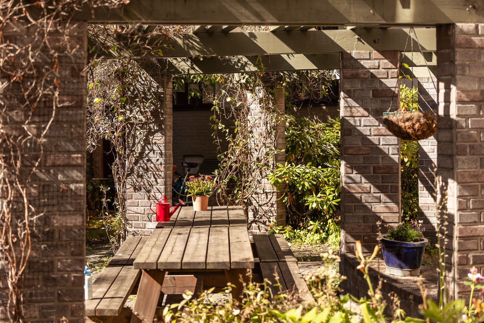 Det er flere hyggelige sittegrupper og grillplass. Galleribilde