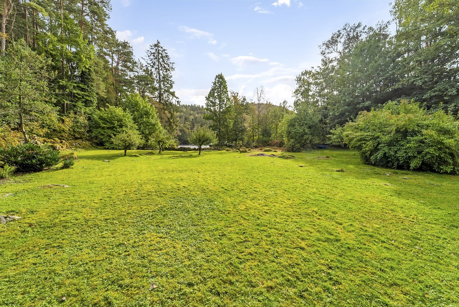 Eiendommen ligger meget usjenert til med mye boltreplass. Galleribilde