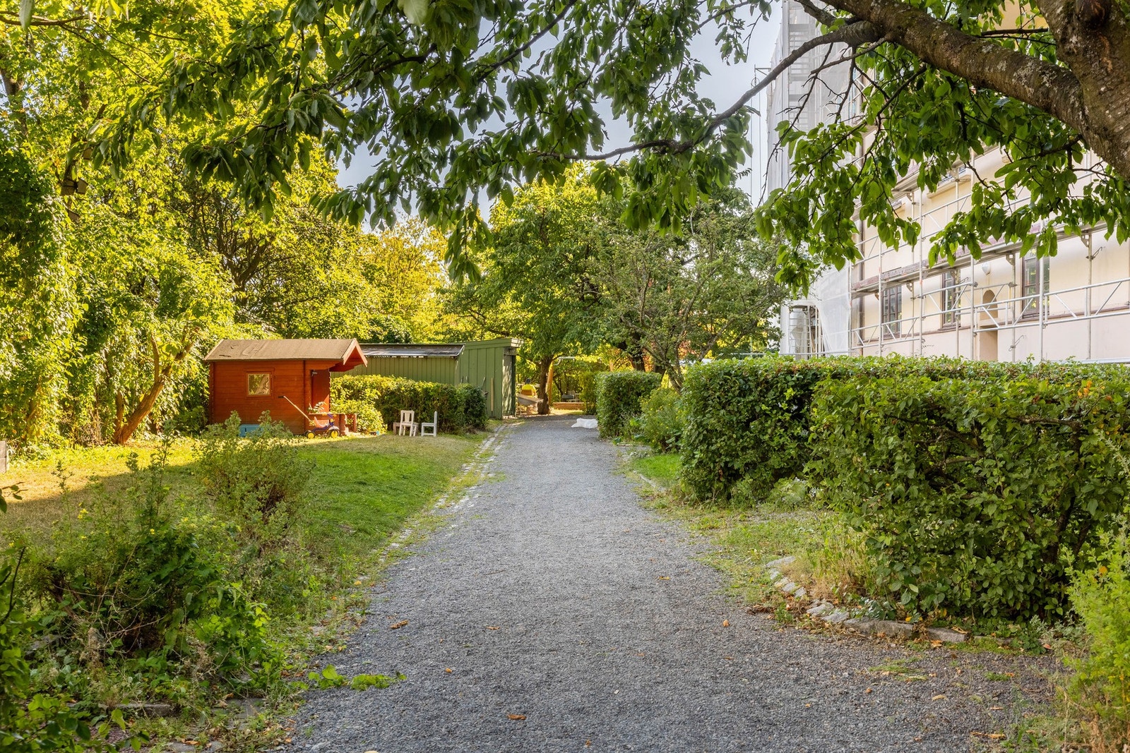 Felles hyggelig bakhage. Galleribilde