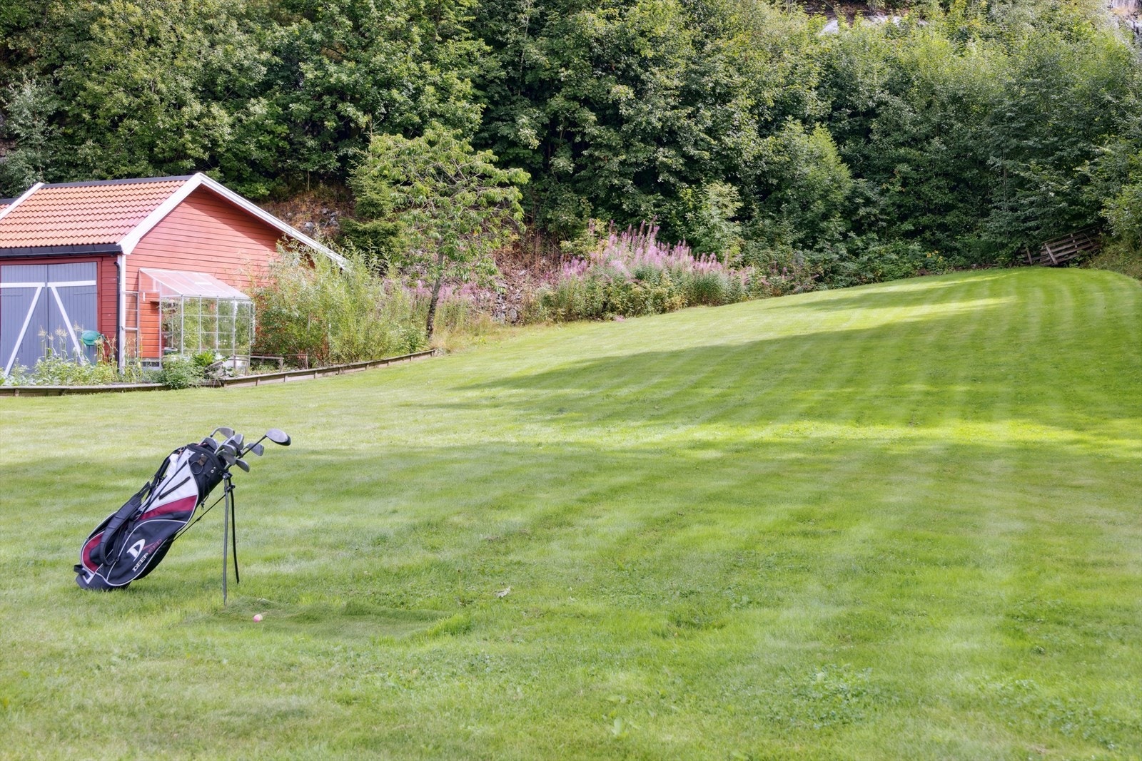 Stor plen, tidligere brukt som jorde Galleribilde