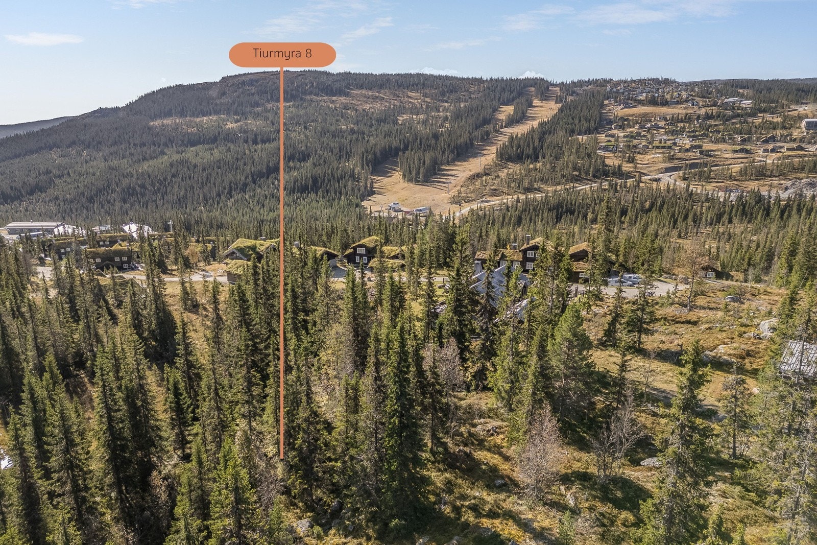 Praktfull og fri utsikt mot fjellheimen og alpinbakken på vardensiden. Galleribilde