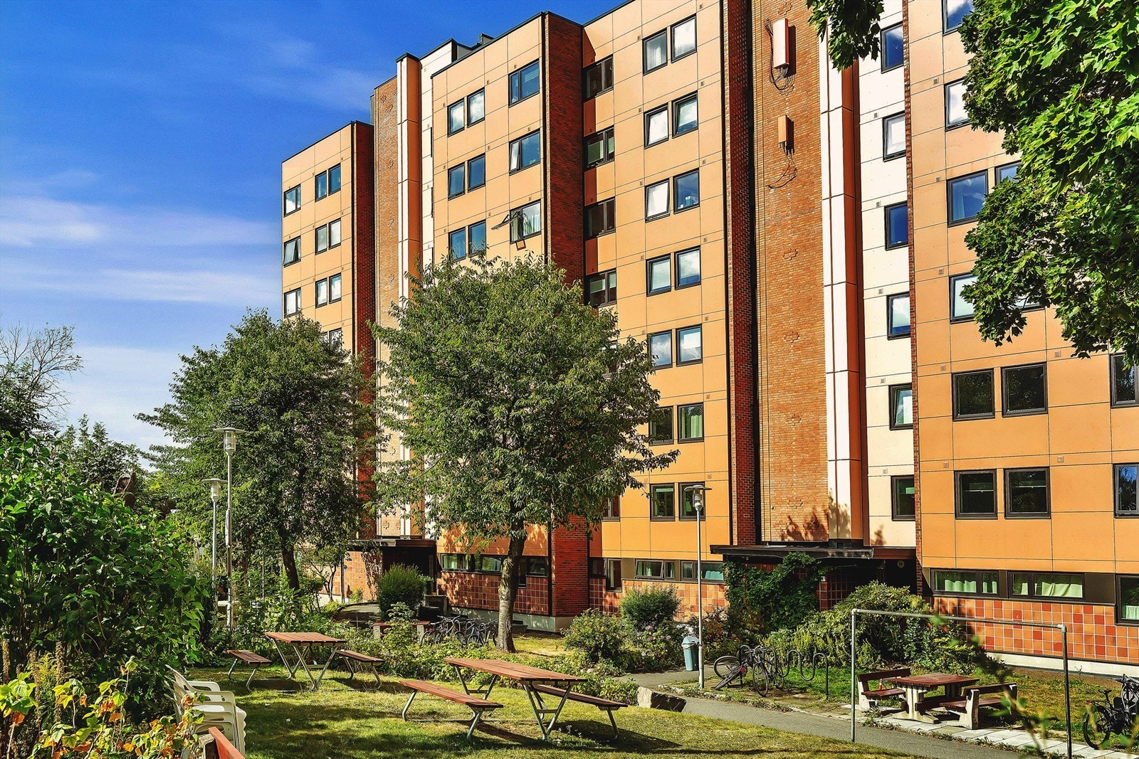 Velkommen til visning! Galleribilde