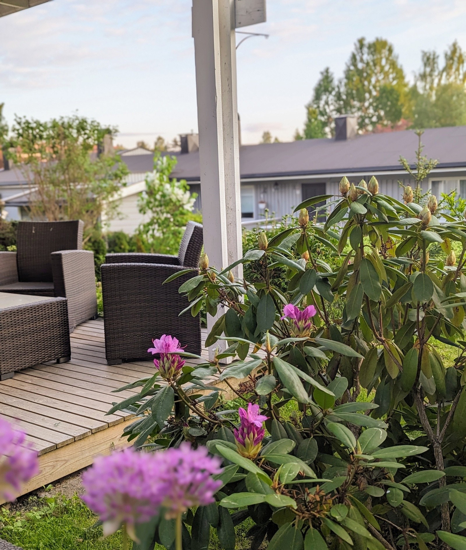 Stemning. Galleribilde