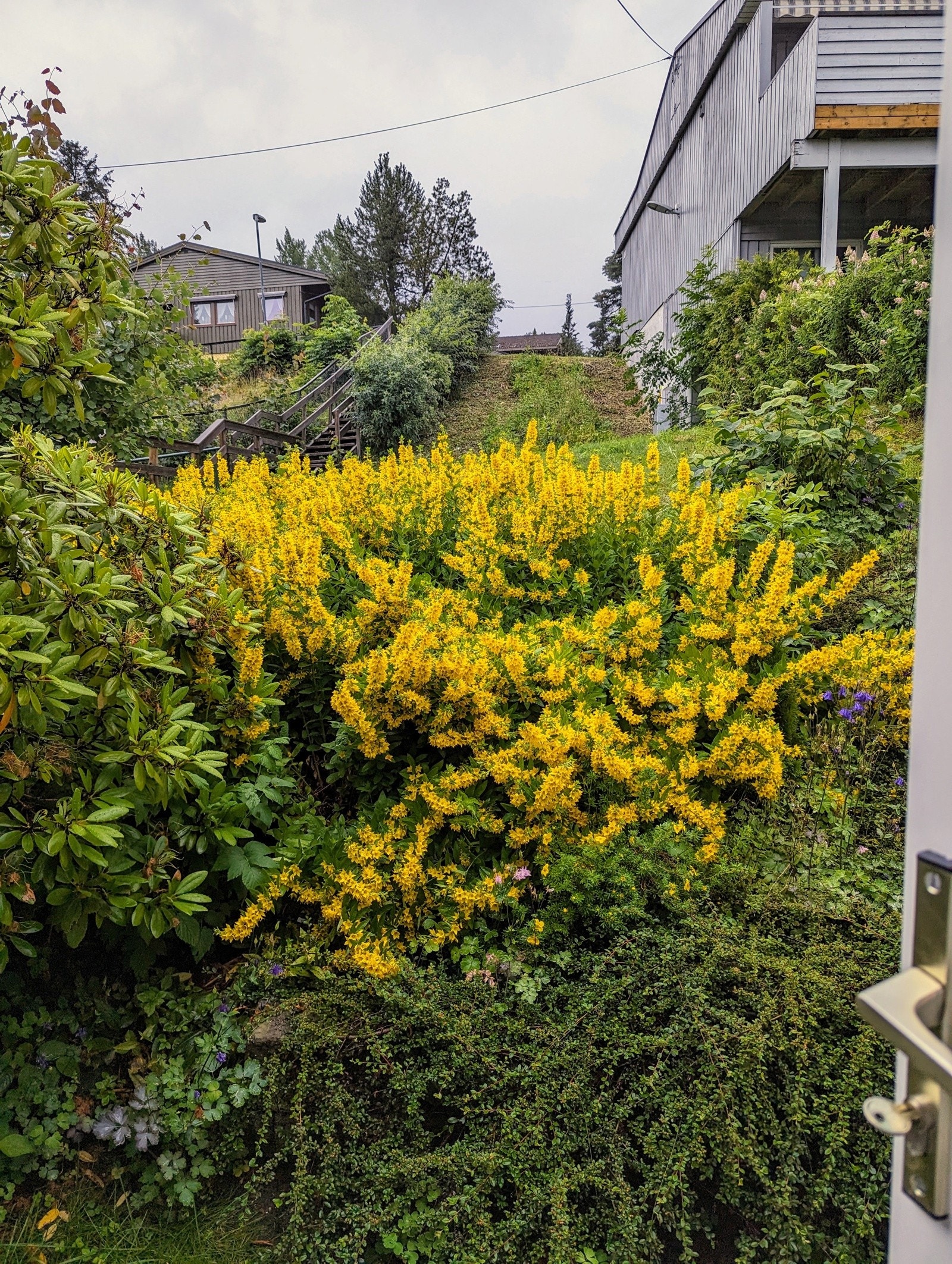 Stemning. Galleribilde