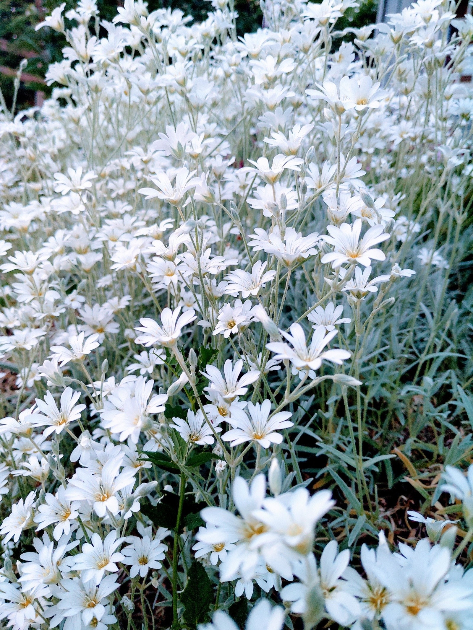 Stemning. Galleribilde