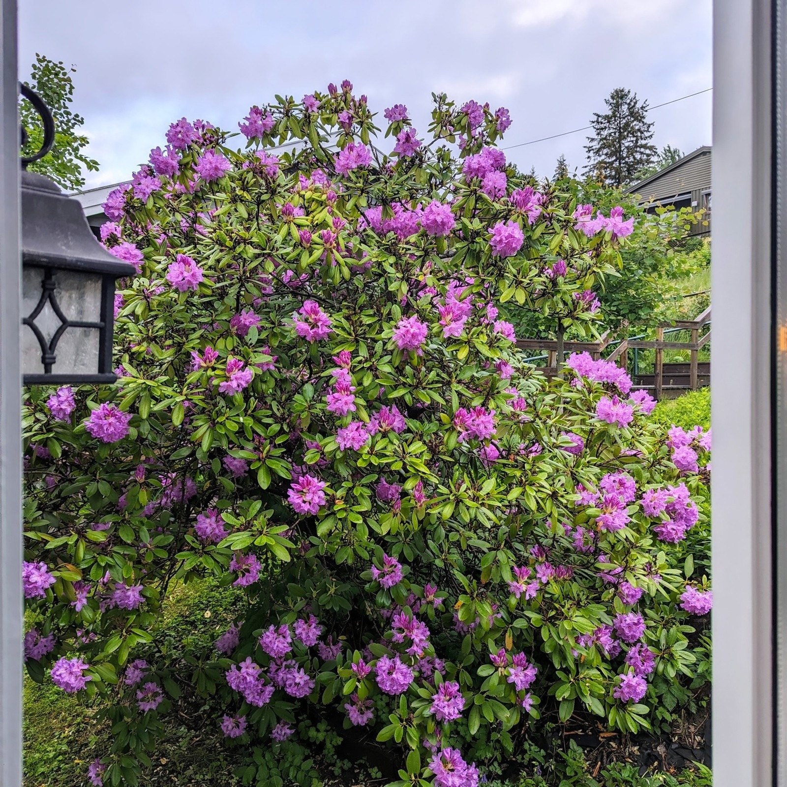 Stemning. Galleribilde