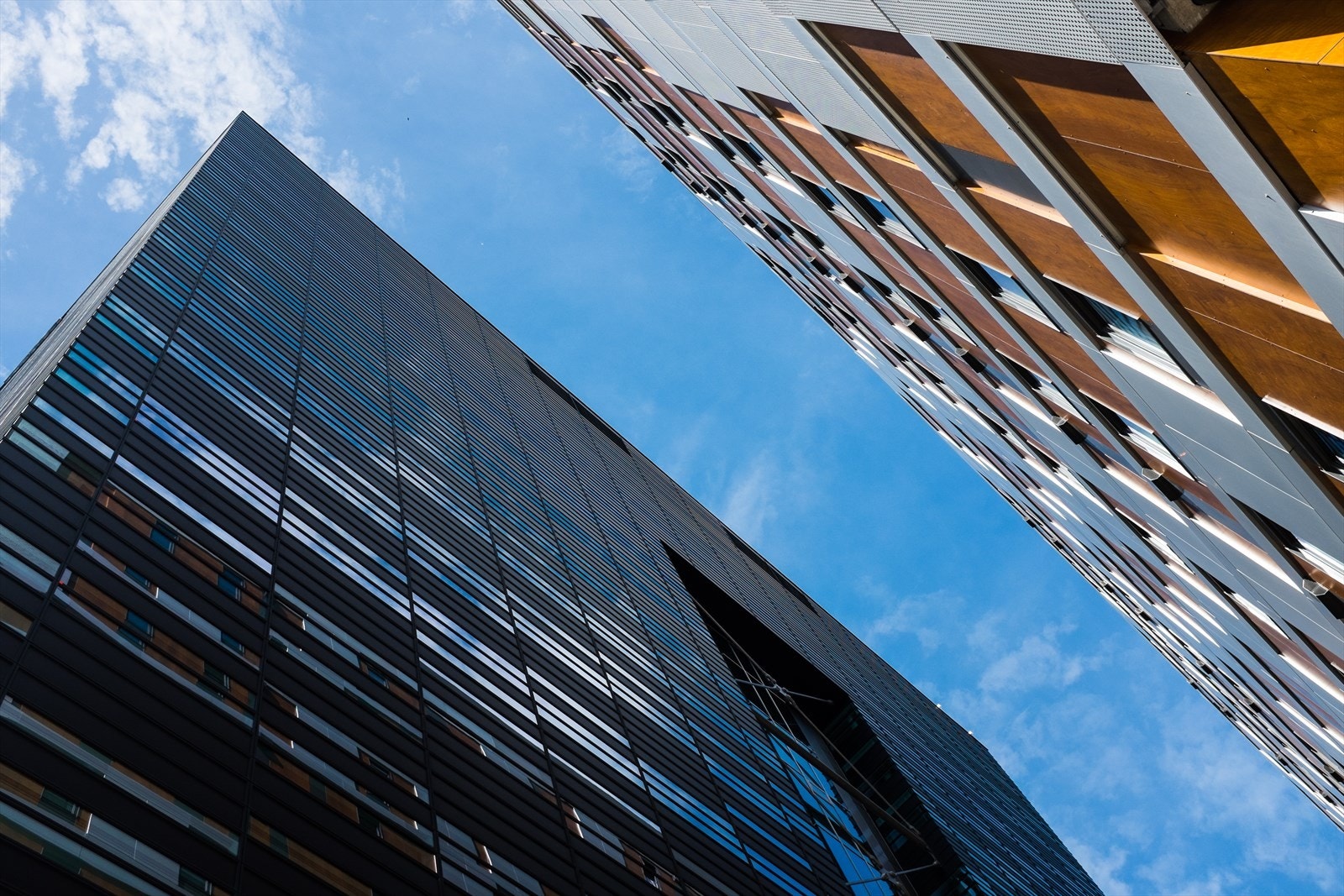 Barcode. Galleribilde