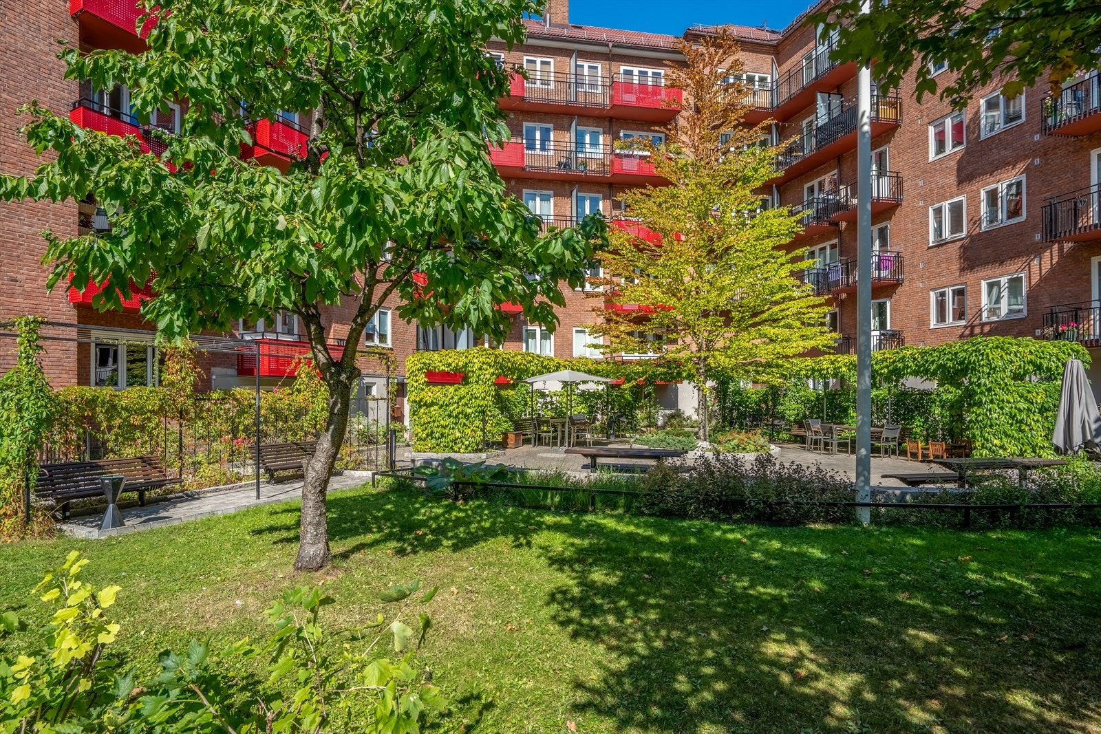 Idyllisk og skjermet bakgård. Galleribilde