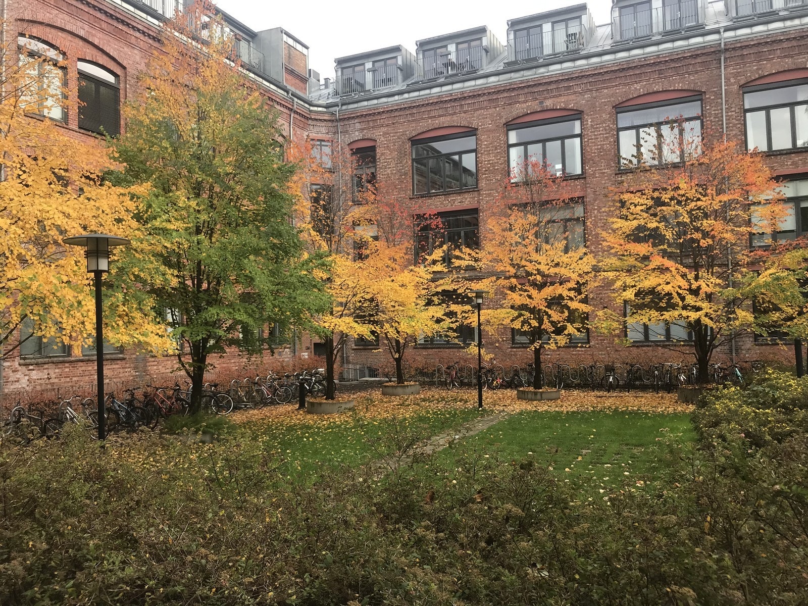 Borettslaget skofabrikken er et meget populært borettslag i sentrale Oslo. Galleribilde
