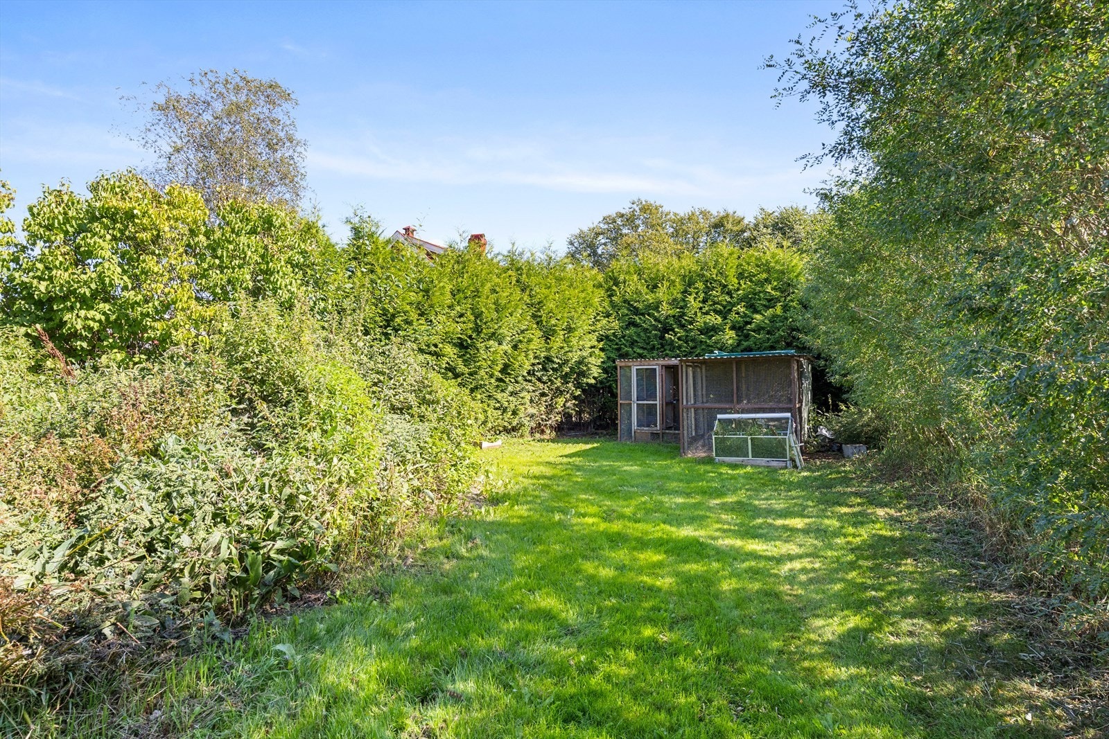 Hagen har en sone hvor det er satt opp drivhus Galleribilde