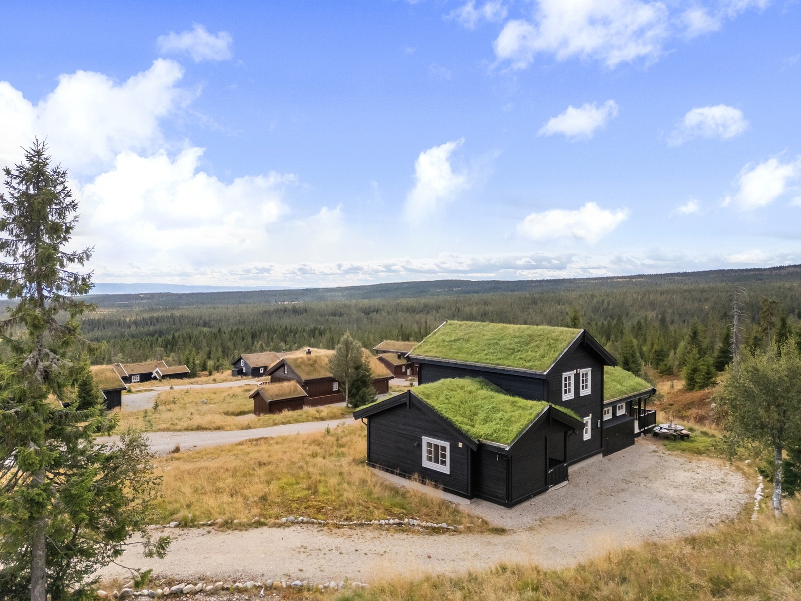 Bilvei helt frem og gode parkeringsmuligheter ved hytta. Galleribilde