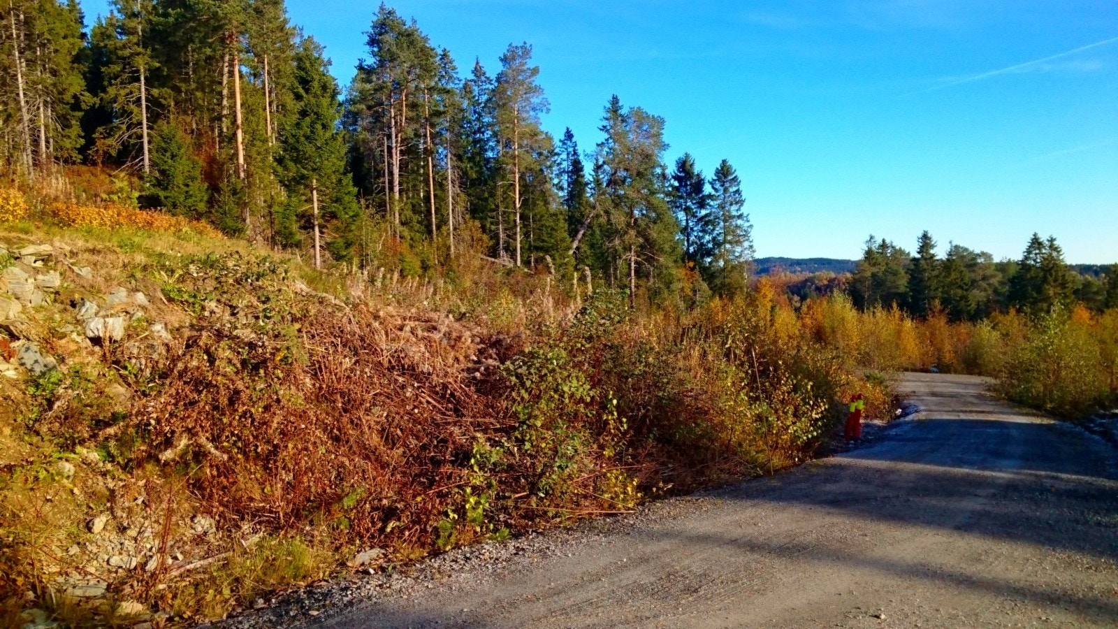 Litt av tomteområdet Galleribilde