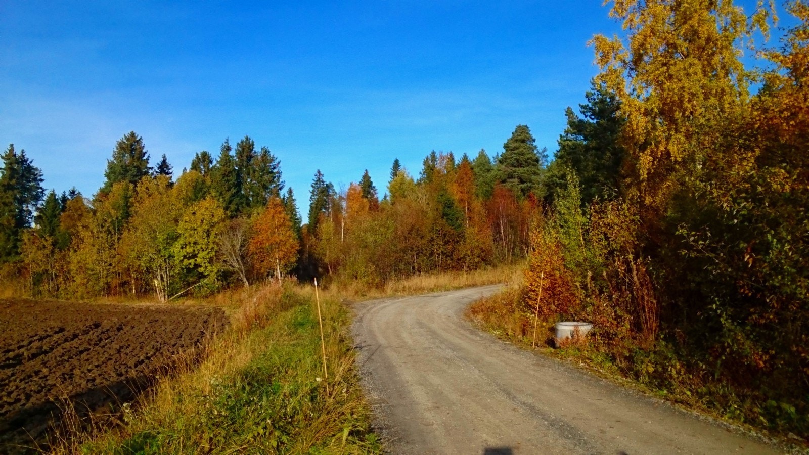 Vei opp til tomteområdet Galleribilde