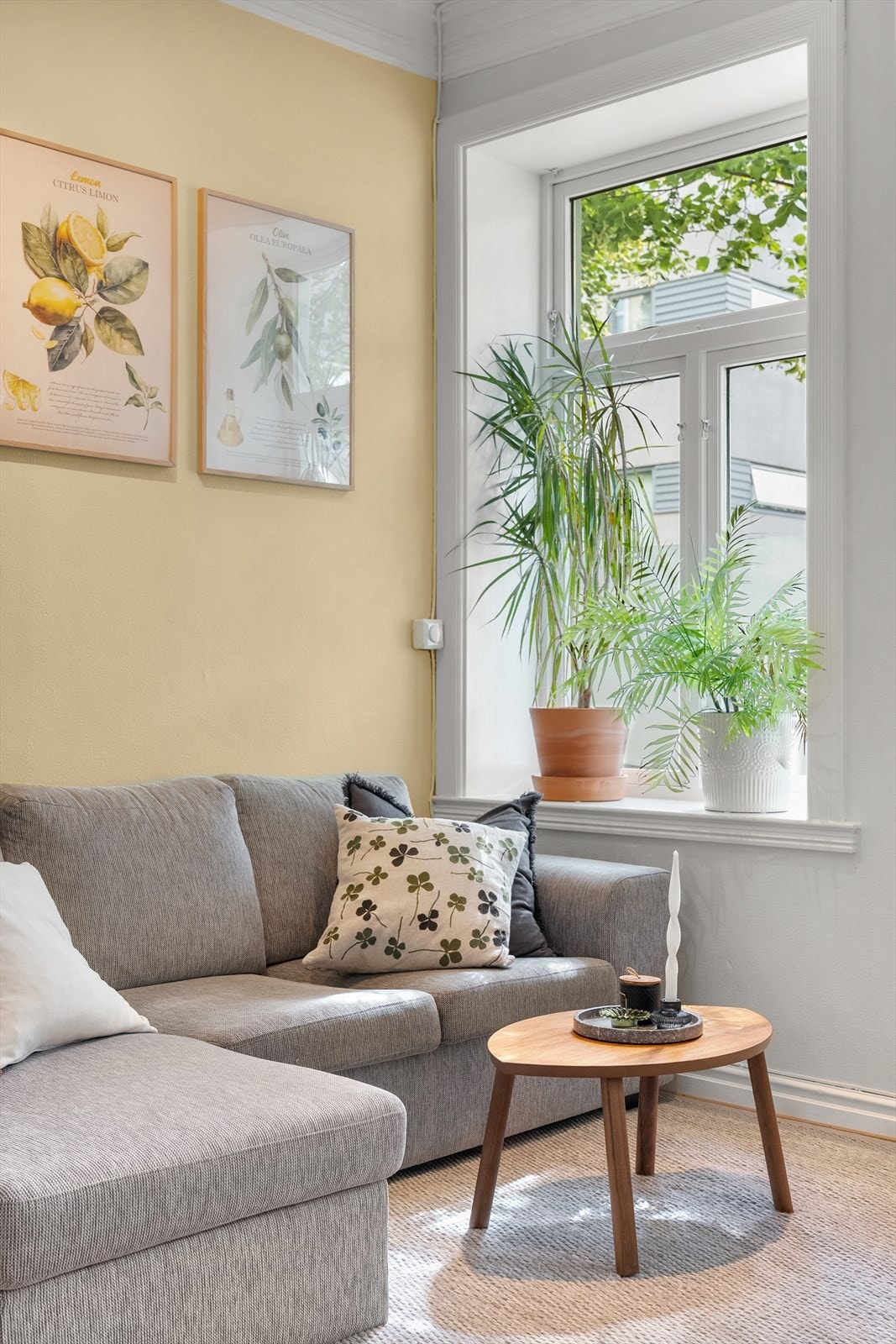 Med store klassiske vinduer kan man fint lufte i høyden ved å åpne de øverste vinduene. Galleribilde