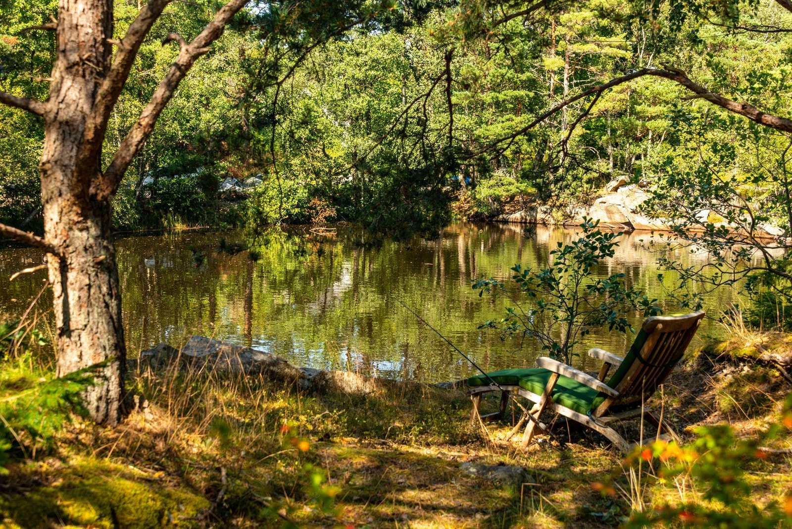 Et tjern tett på gir deg ro og harmoni, men fuglekvitter må man tåle Galleribilde