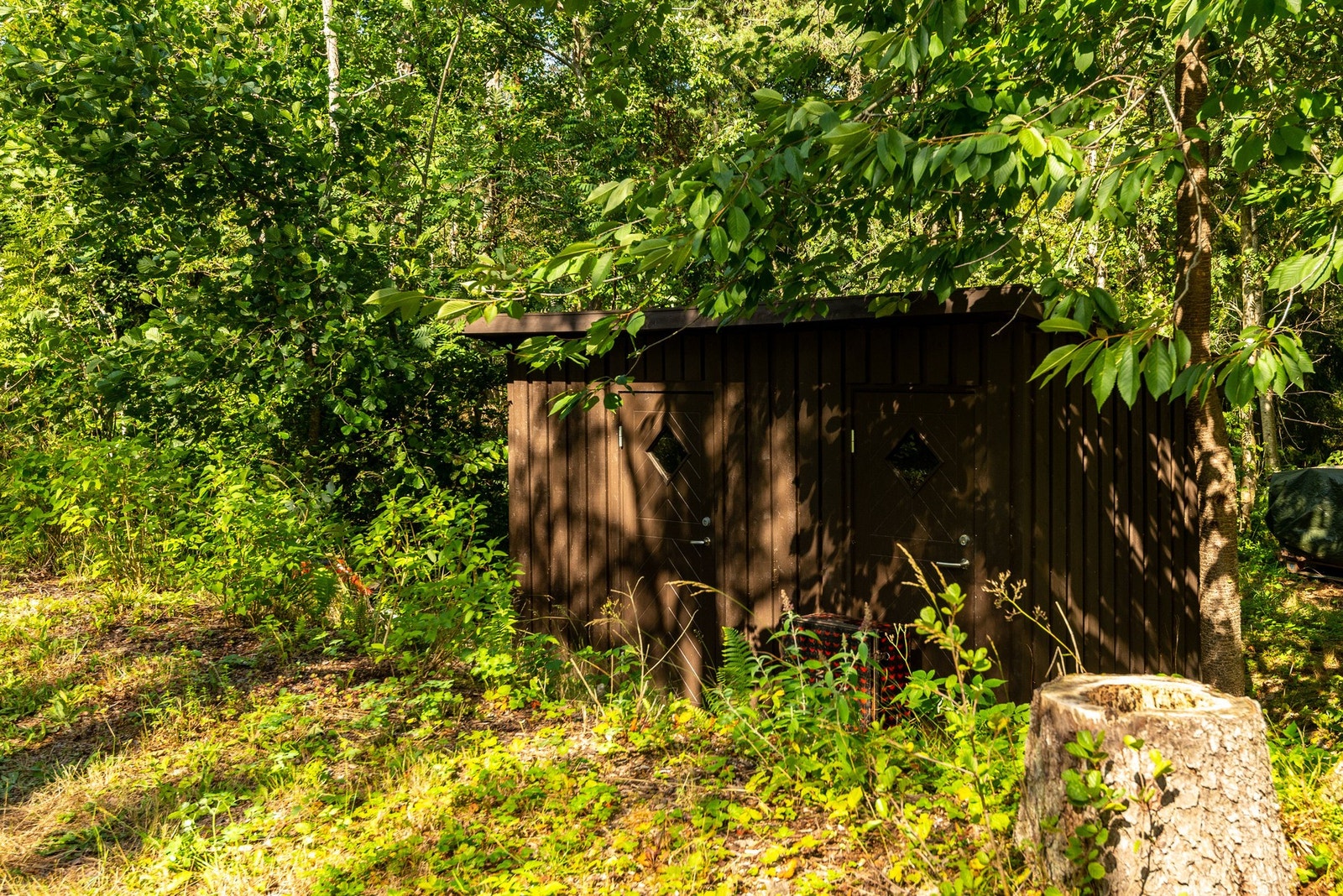 Uthus/gammel utedo Galleribilde