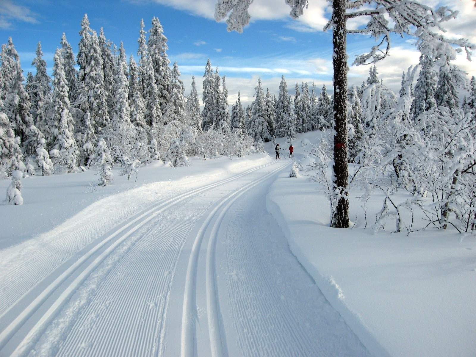 Lygna er kjent for sine velprerarerte løyper både for nybegynnere og viderekommende. Galleribilde