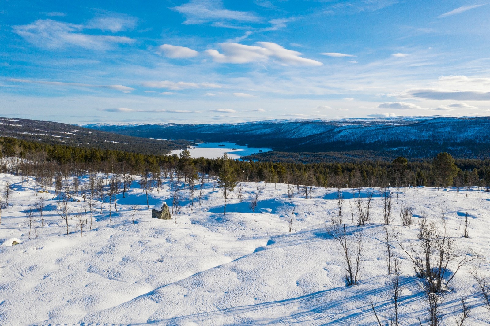 Bilder fra tomten Galleribilde