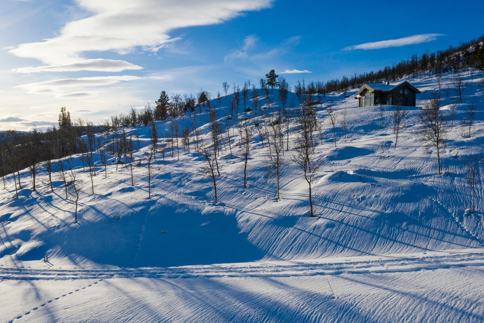 Bilder fra tomten Galleribilde