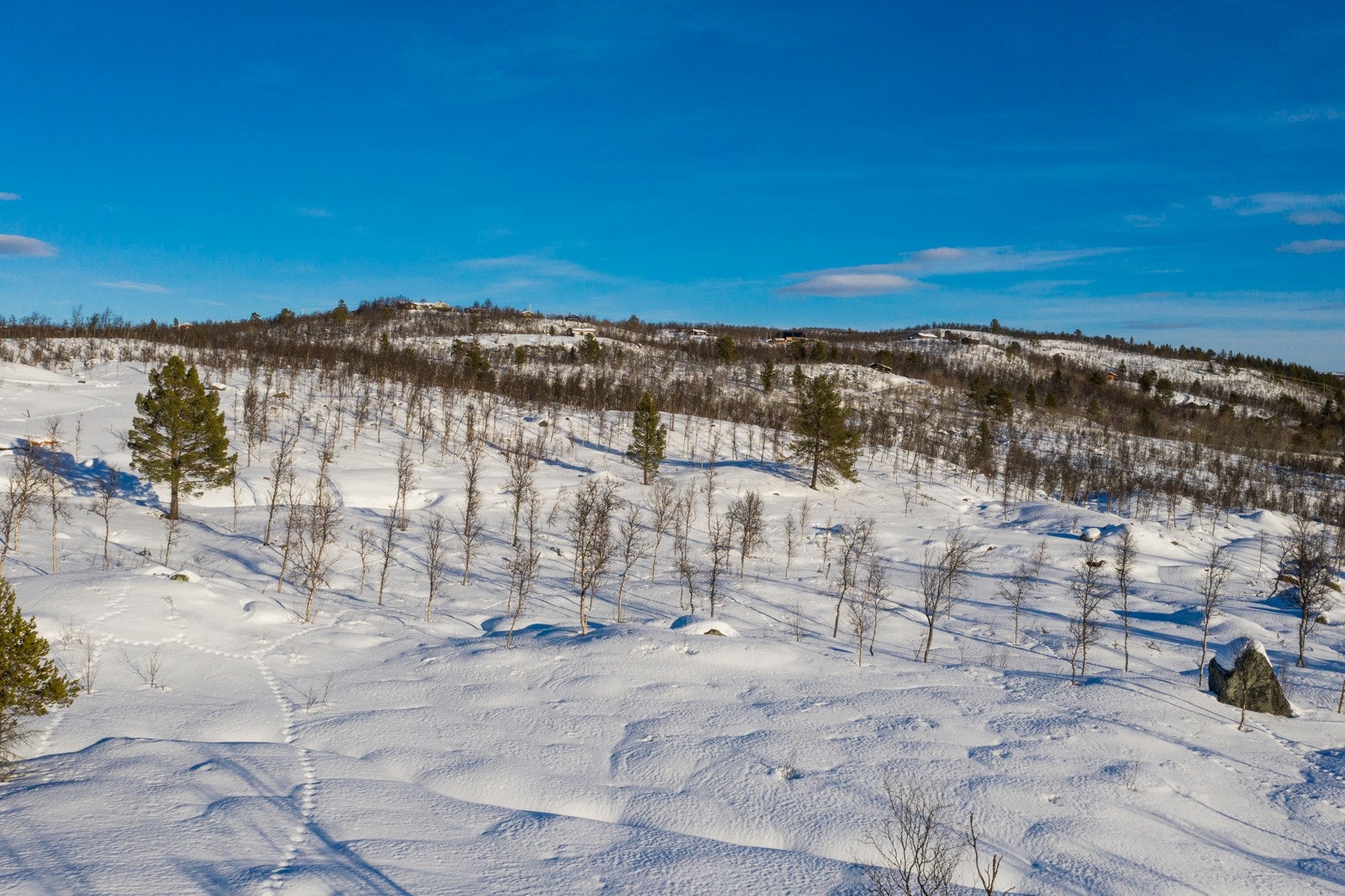 Bilder fra tomten og området Galleribilde