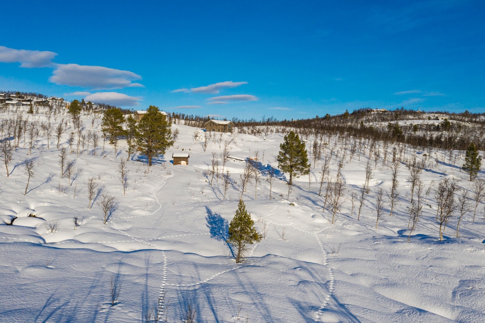 Bilder fra tomten og området Galleribilde