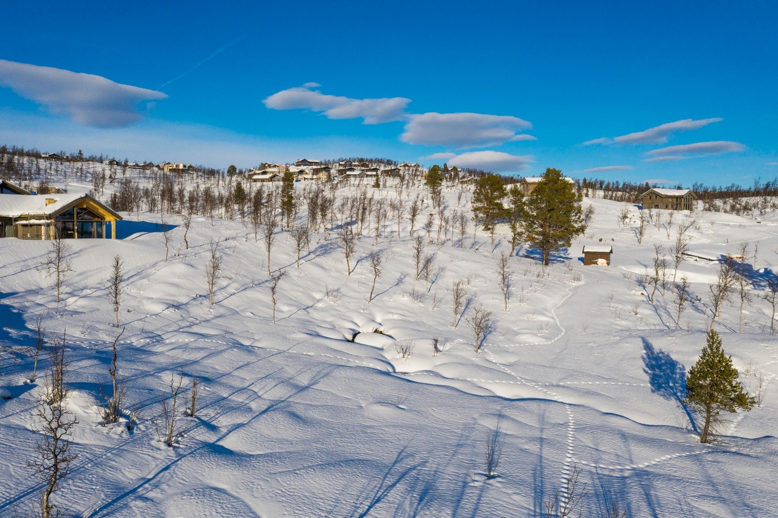 Bilder fra tomten og området Galleribilde
