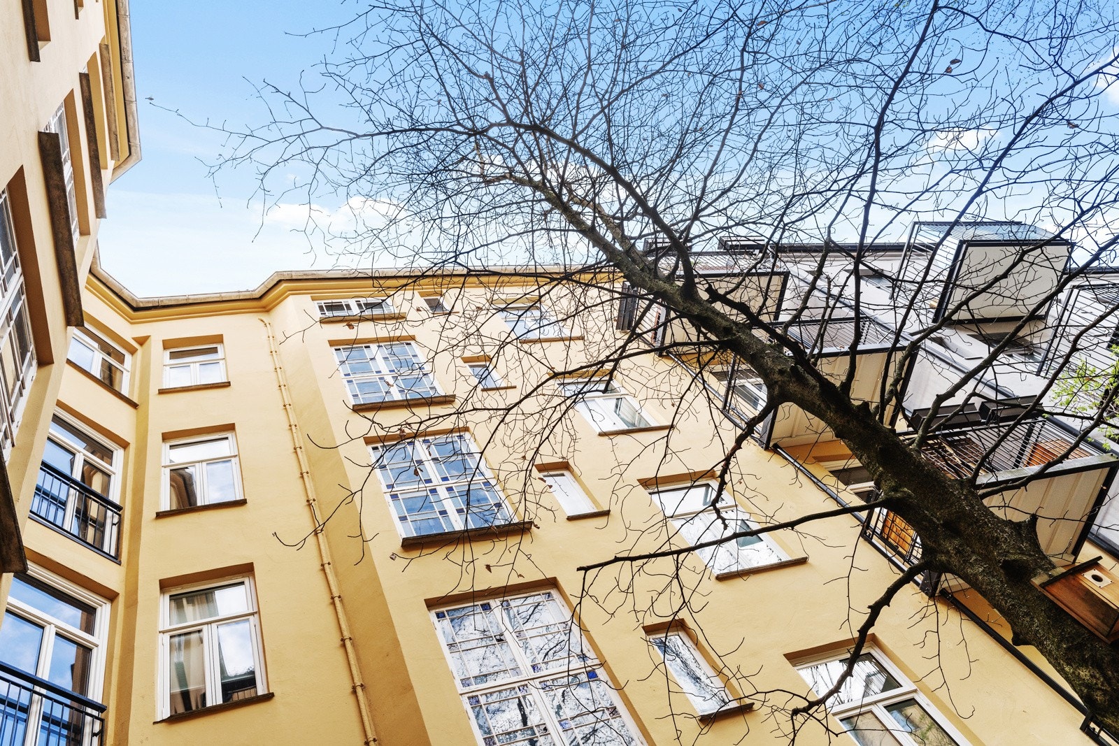 Fasade. Galleribilde