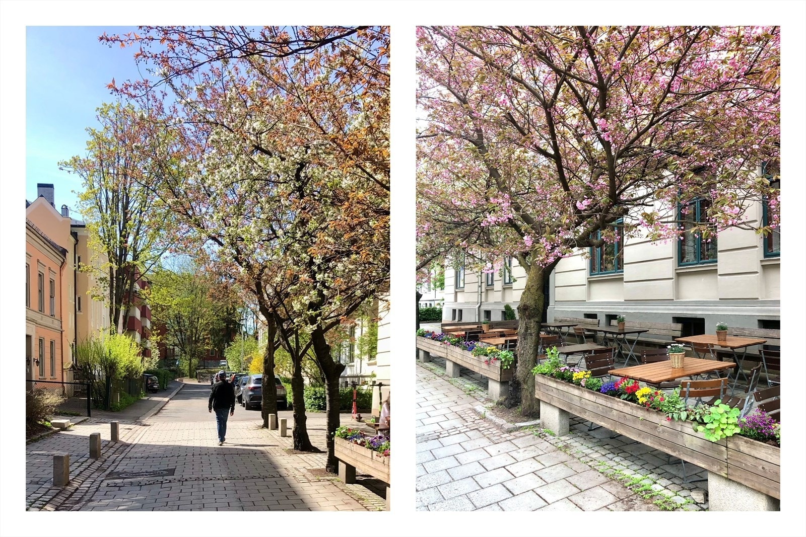 Trivelig gate med vakker beplantning og brostein - Skjult liten perle! Galleribilde