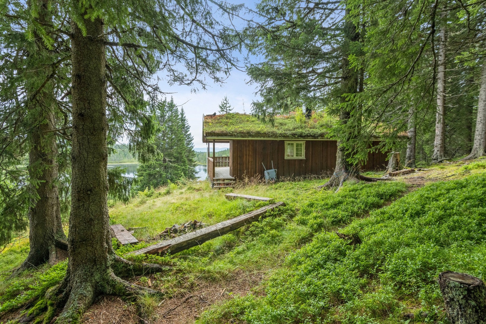 Hytta ligger i naturskjønne omgivelser, like ved Skognvulusjøen Galleribilde
