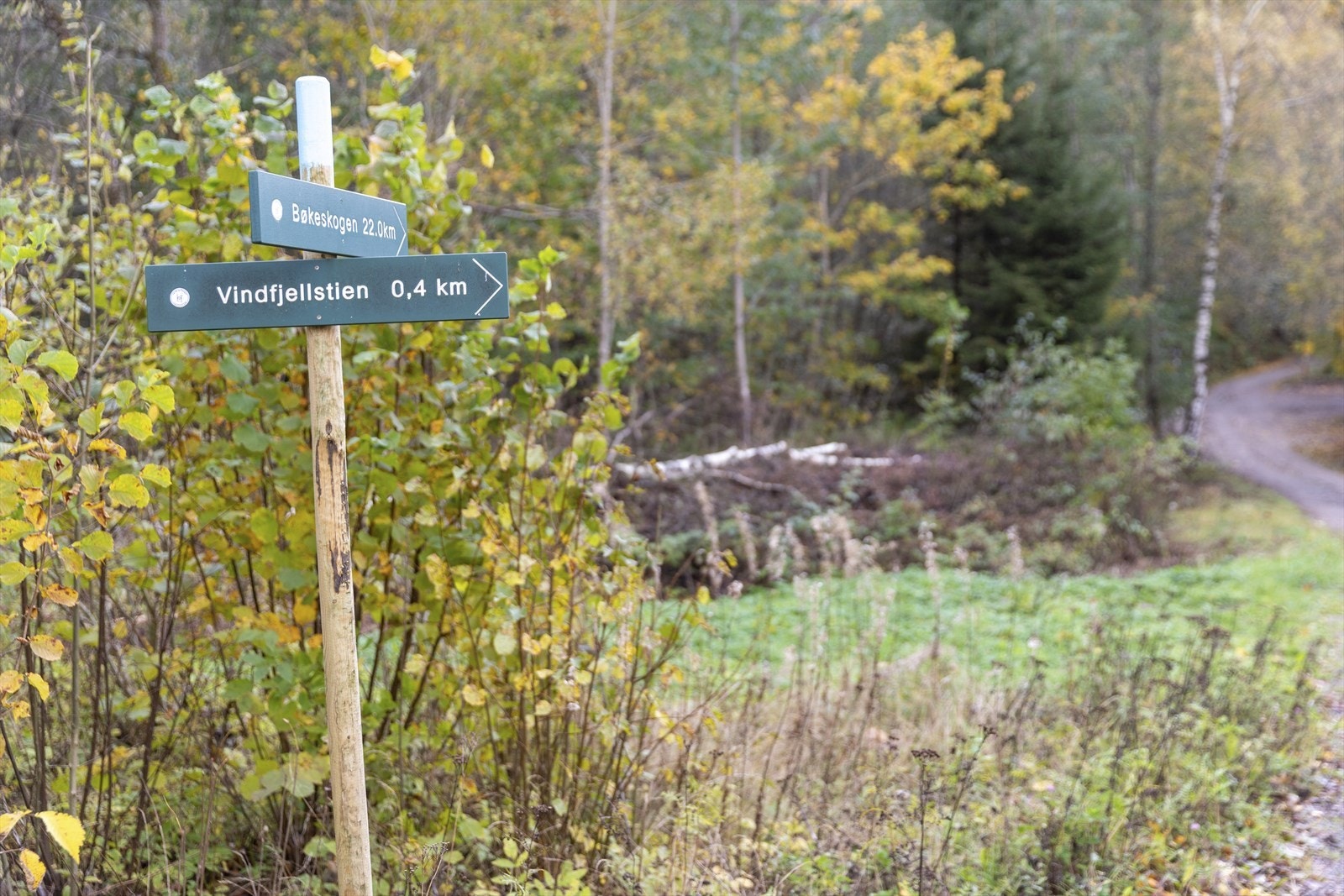 Hyggelige turer går like utenfor hytta. Galleribilde