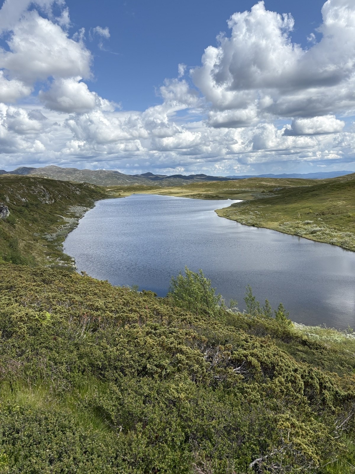 Bjørnepytten. Privat bilde. Galleribilde