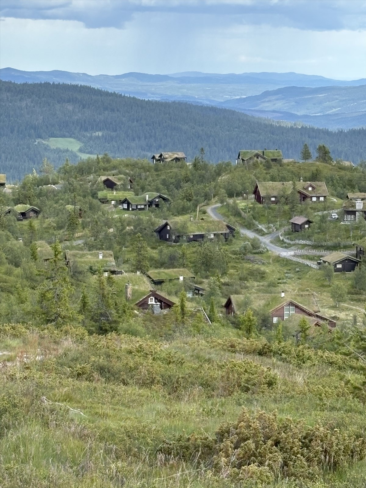 Gamlestølen hyttegrend. Privat bilde. Galleribilde