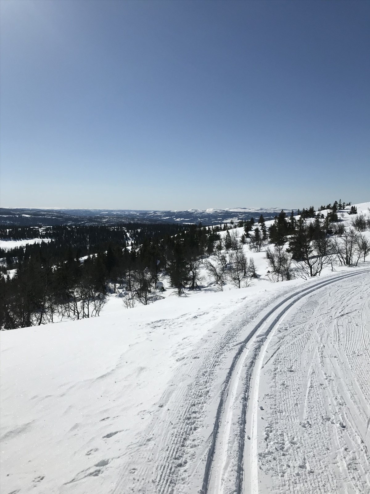 Magiske forhold vinterstid. Privat bilde. Galleribilde