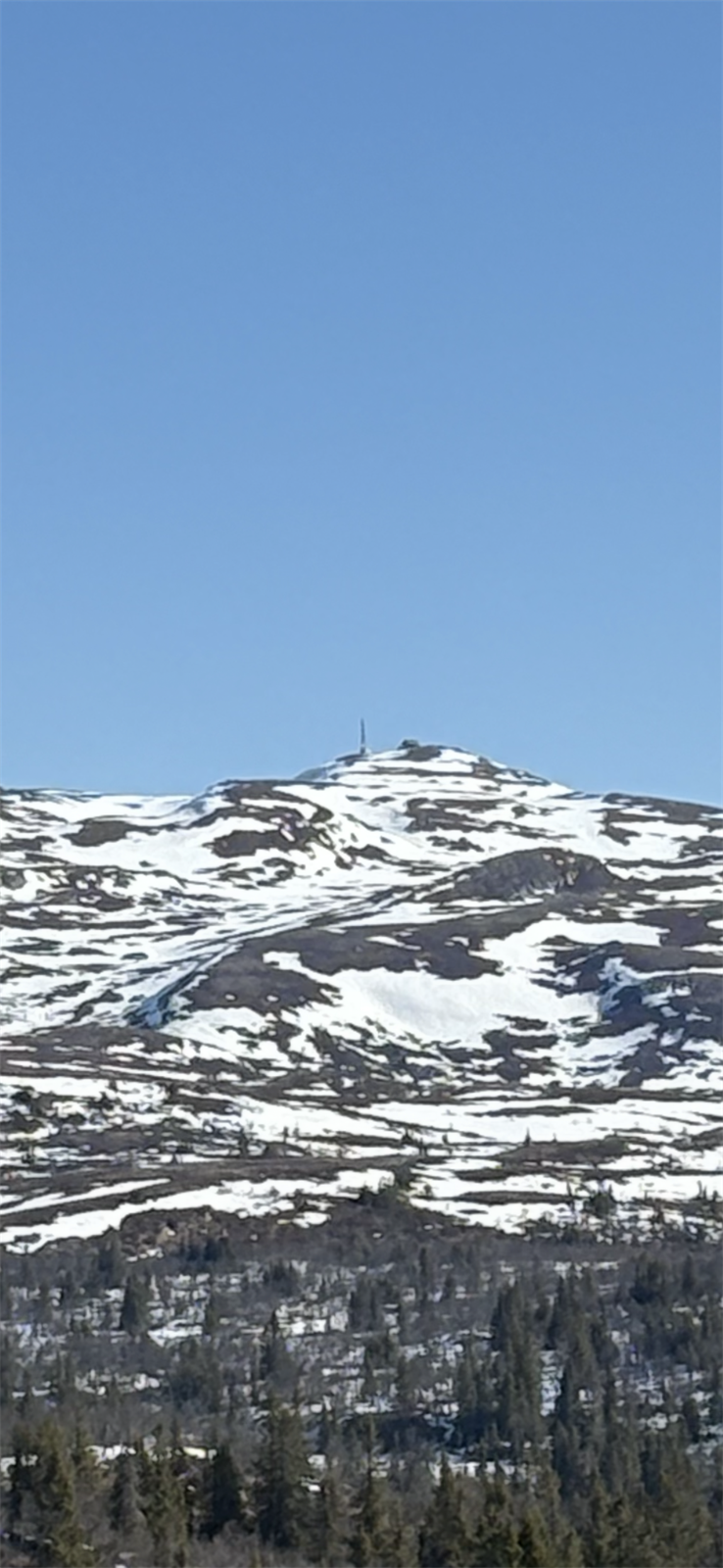 Spåtindtoppen. Privat bilde. Galleribilde