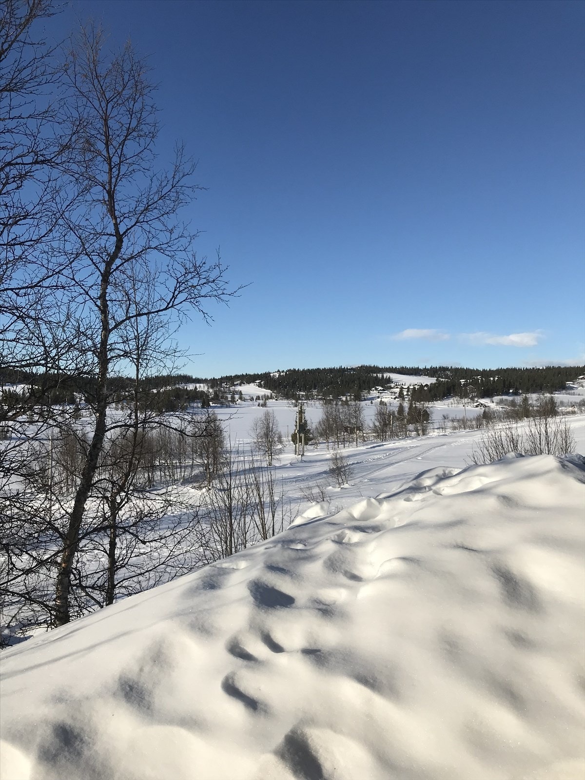 Den kalde fine tida. Privat bilde. Galleribilde