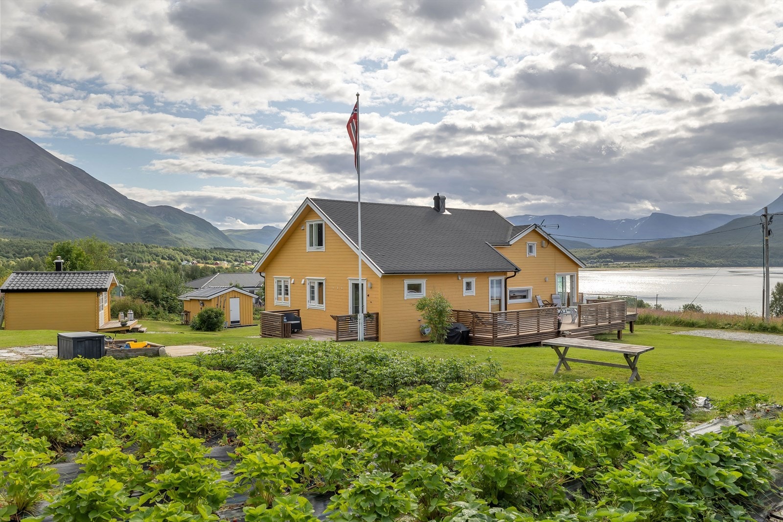 Nydelig tomt med stort jordbærland og noe potet. Enkelte prydbusker og romslig plen. Tomten er svakt skråendende mot sør. Galleribilde