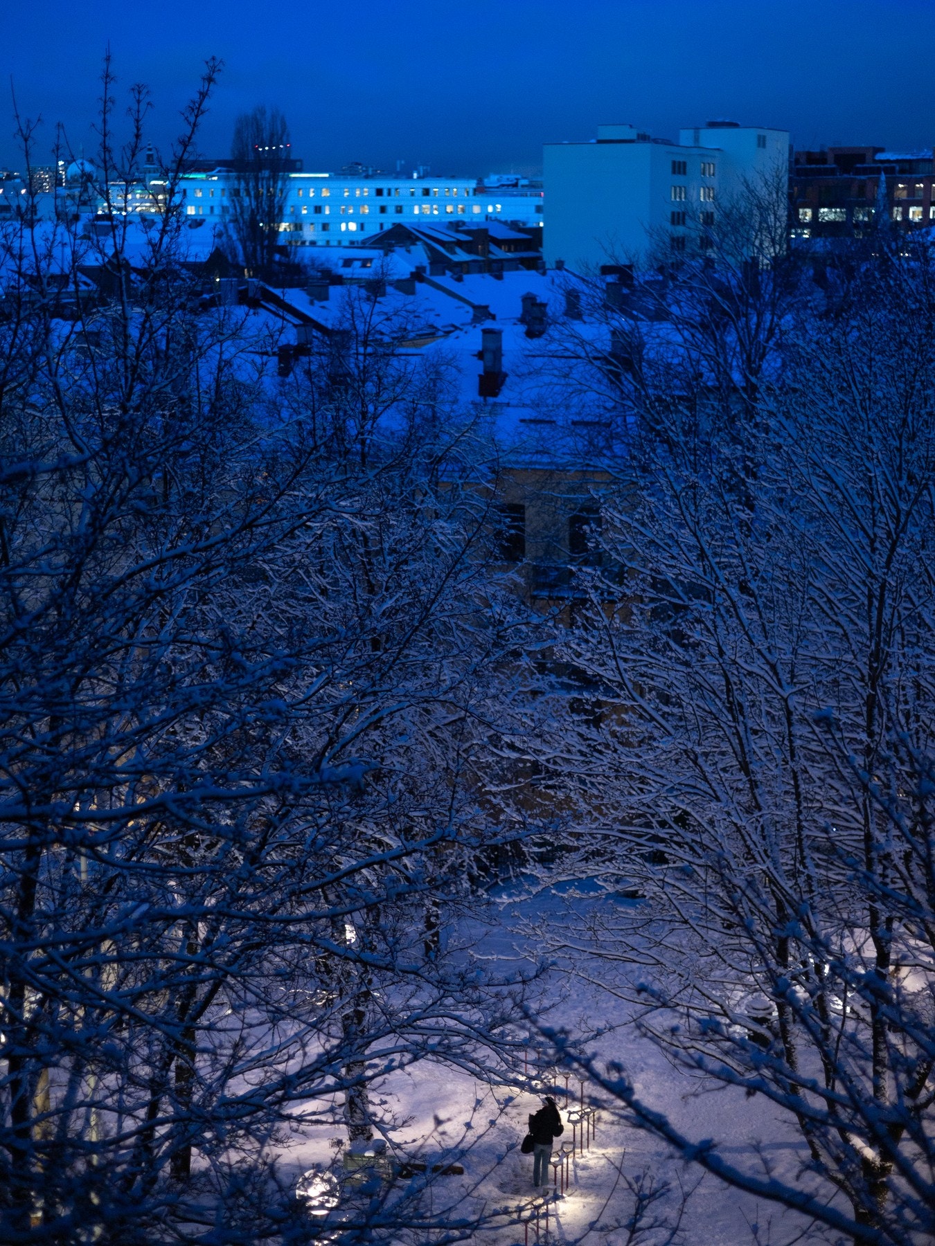 Selgers private bilde. Galleribilde