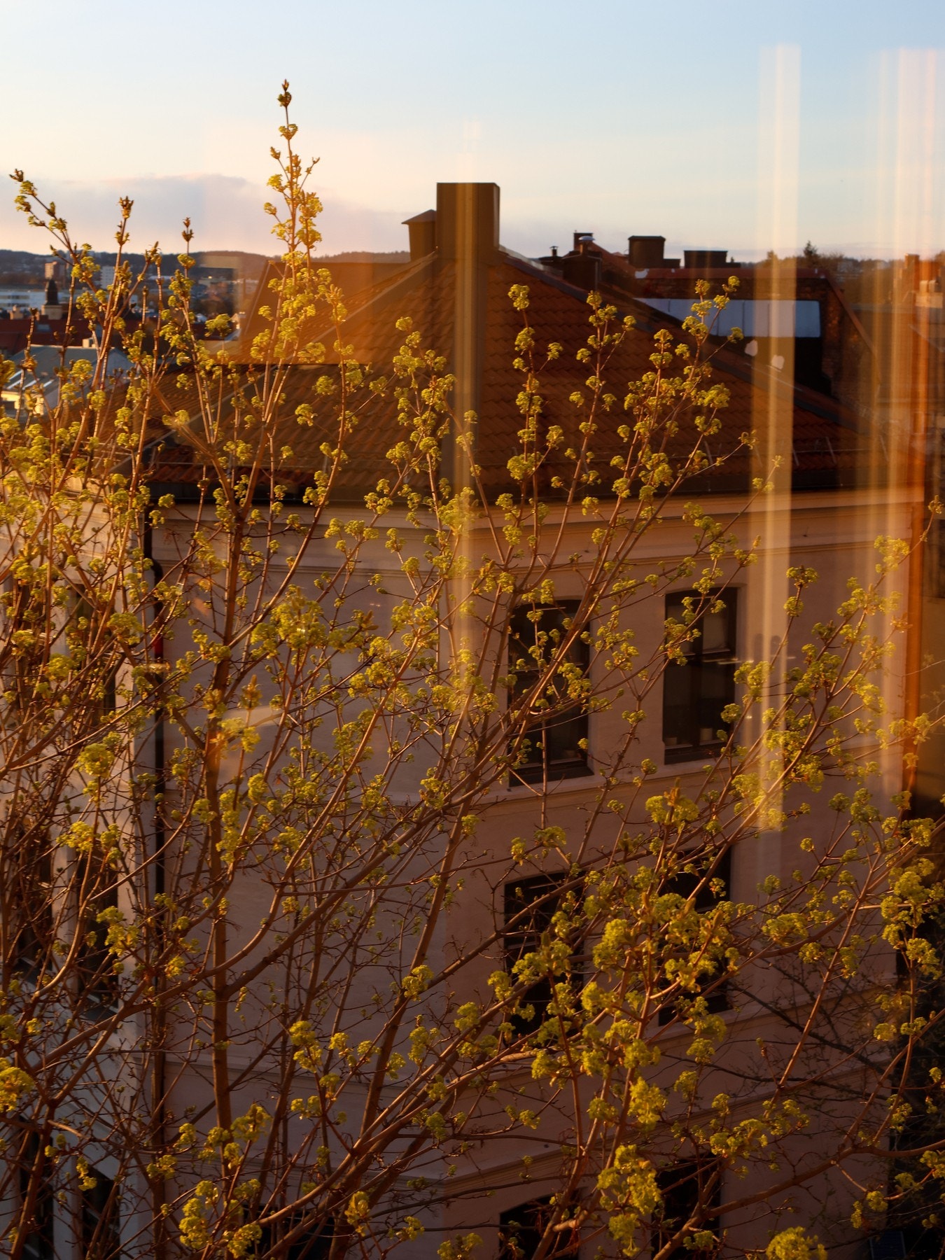 Selgers private bilde. Galleribilde