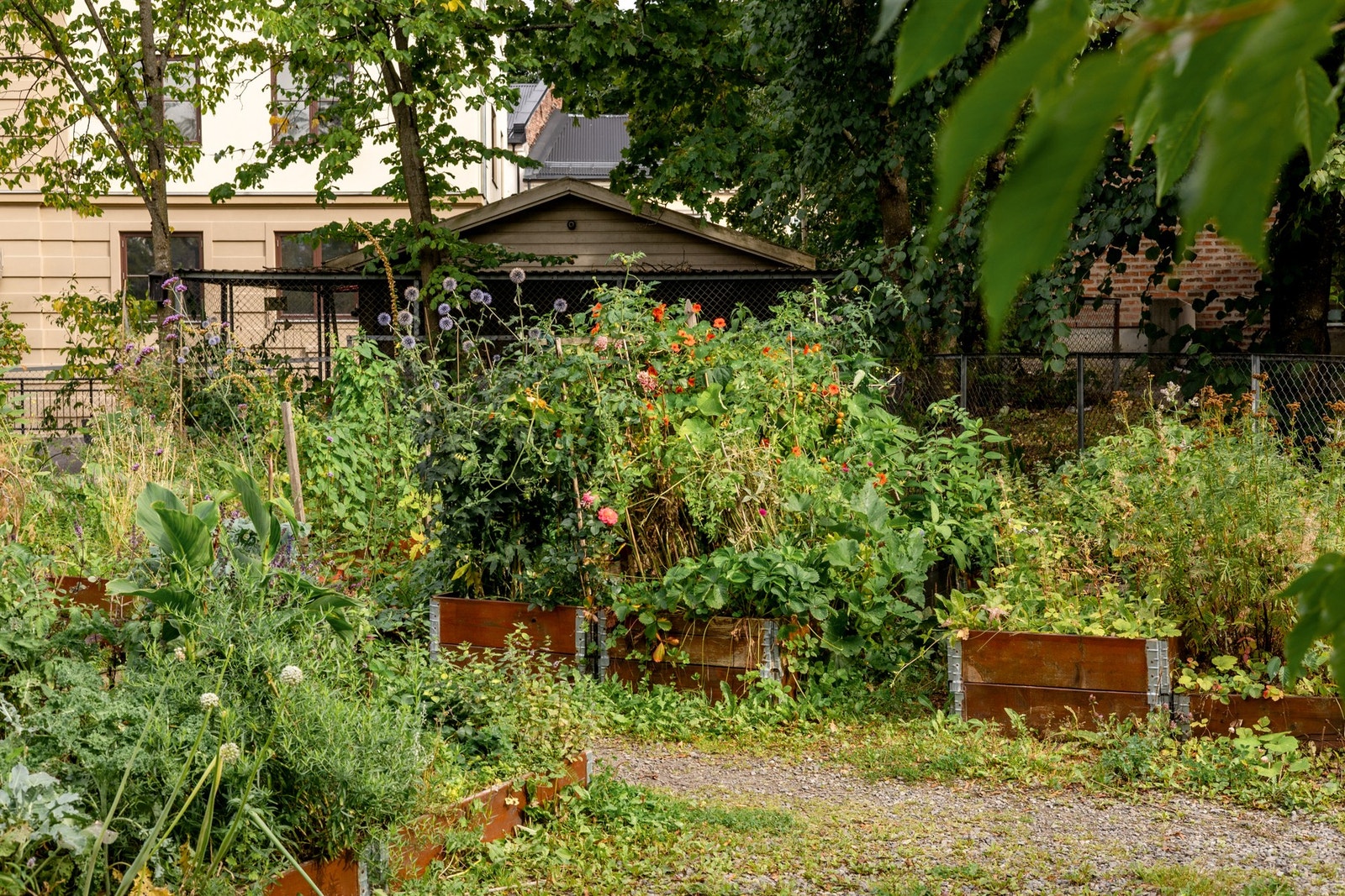 Borettslaget er veldrevet og hyggelig blant annet med parsellhager. Galleribilde