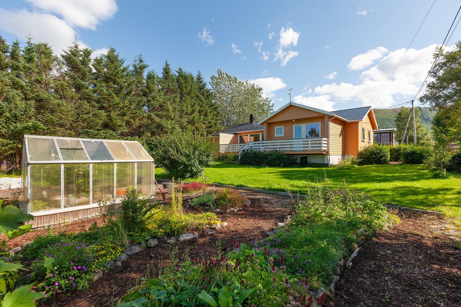 Velkommen til Stavli 6! Galleribilde